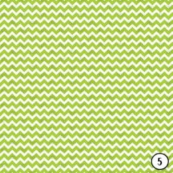 Watermelon Craze (vinyl) - Image 6