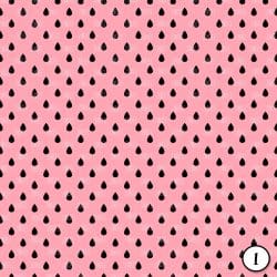 Watermelon Party (vinyl) - Image 2