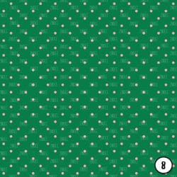 Watermelon Party (vinyl) - Image 9