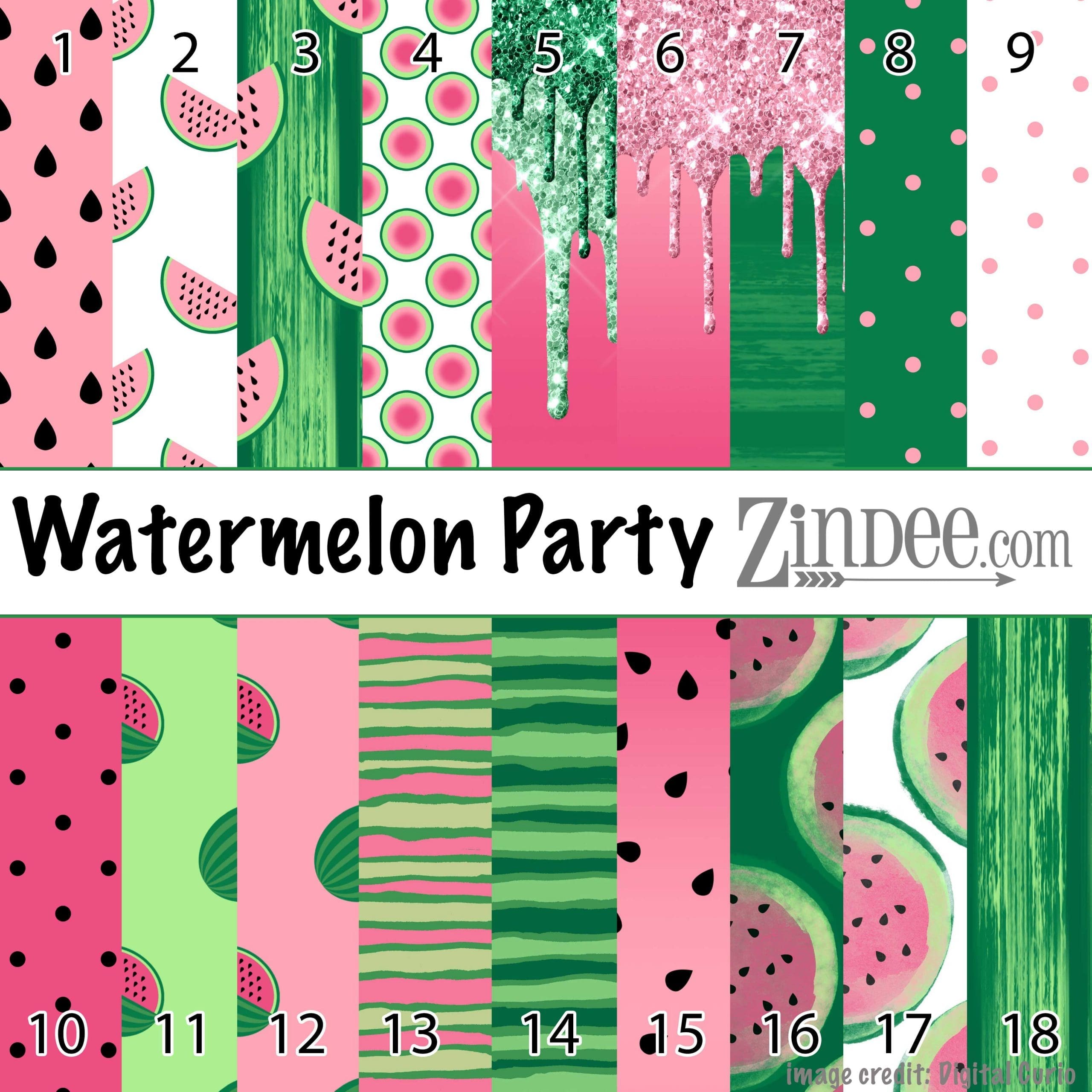 Watermelon Party (vinyl)