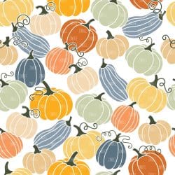White Fall Pumpkins (digital paper)