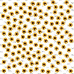 White Sunflowers (digital paper)