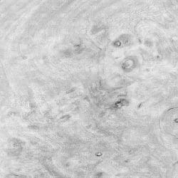White Wood (vinyl) - Image 17