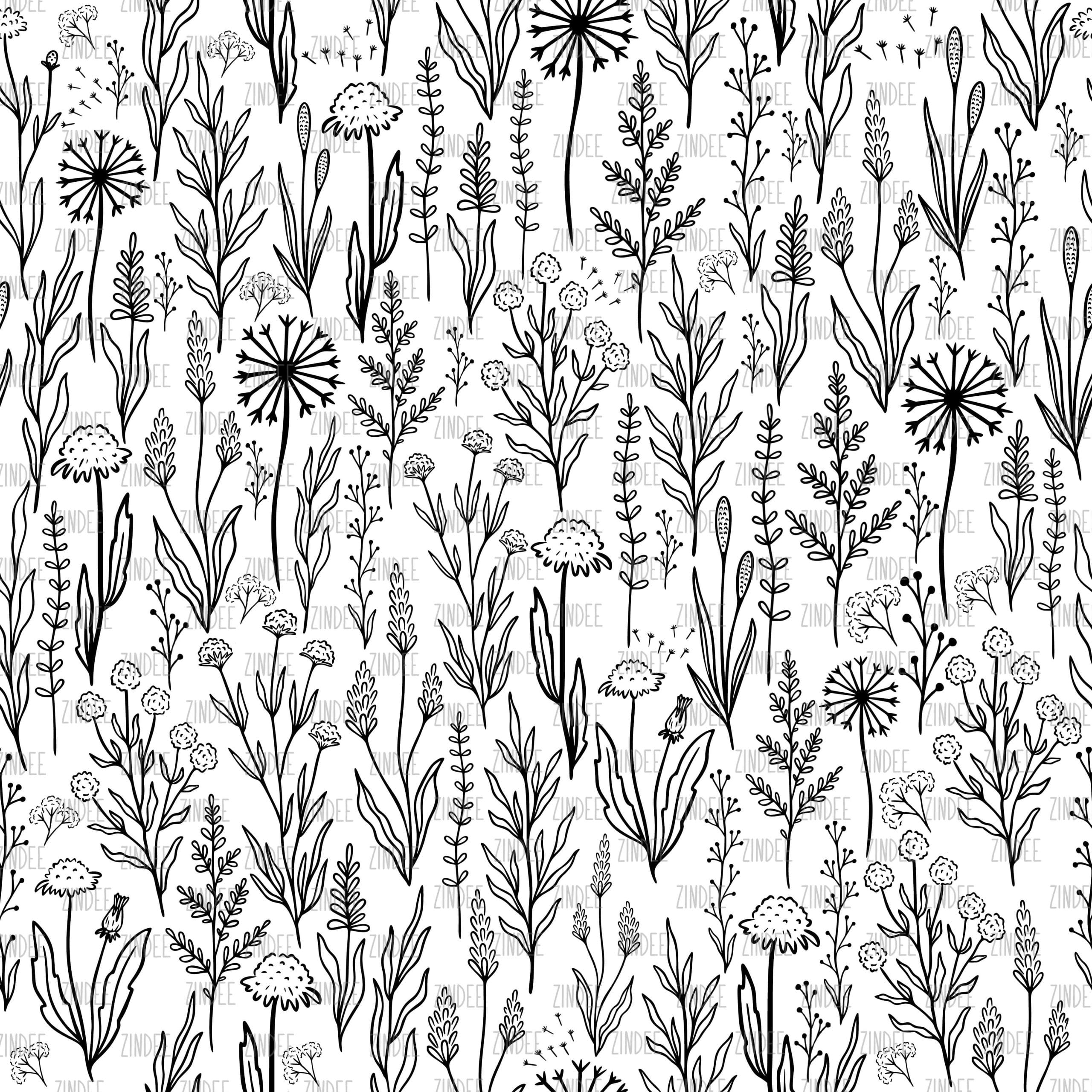 Wildflowers Black and White (digital paper)