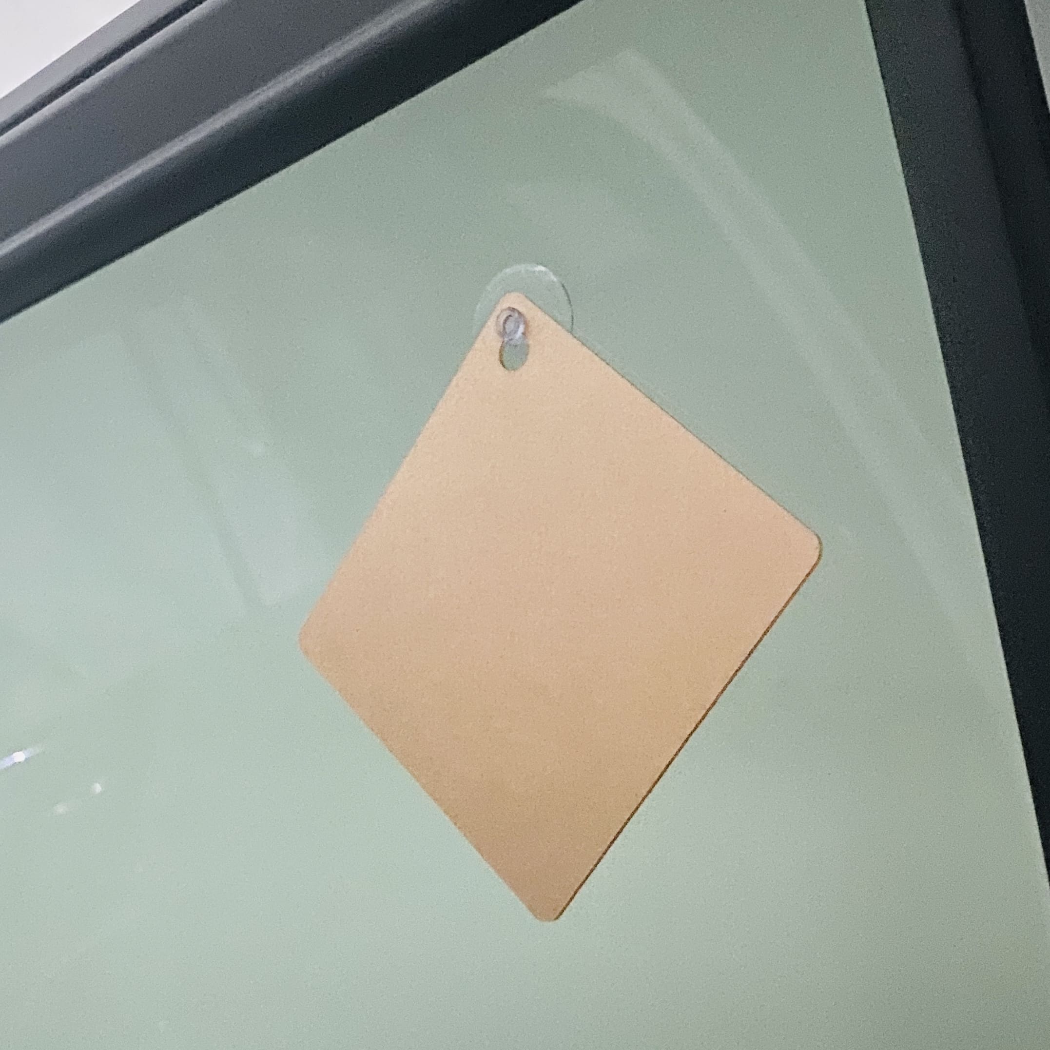 Alternative view of Suction Cup