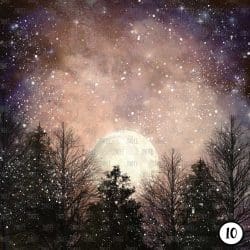 Winter Night (vinyl) - Image 11