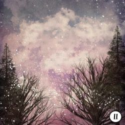 Winter Night (vinyl) - Image 12
