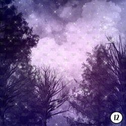Winter Night (vinyl) - Image 13