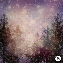 Winter Night (vinyl) - Image 14