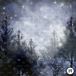 Winter Night (vinyl) - Image 15