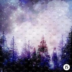 Winter Night (vinyl) - Image 16