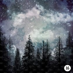 Winter Night (vinyl) - Image 17