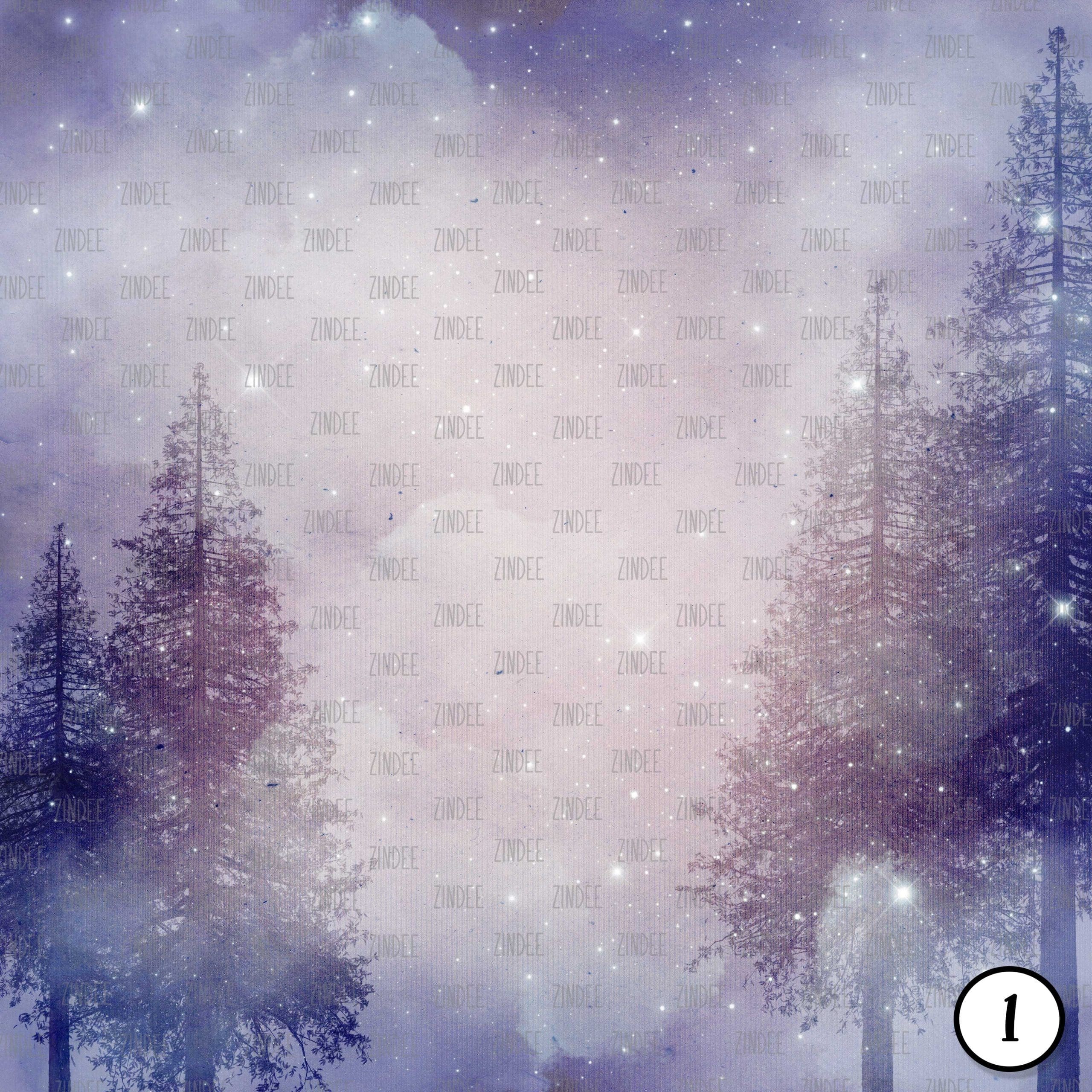 Alternative view of Winter Night (vinyl)