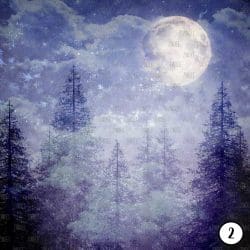 Winter Night (vinyl) - Image 3