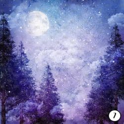 Winter Night (vinyl) - Image 8