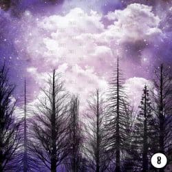 Winter Night (vinyl) - Image 9