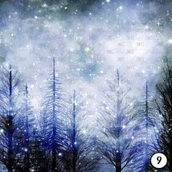 Winter Night (vinyl) - Image 10
