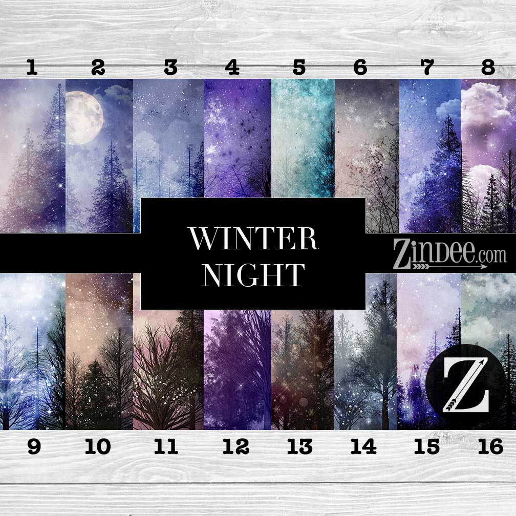 Winter Night (vinyl)