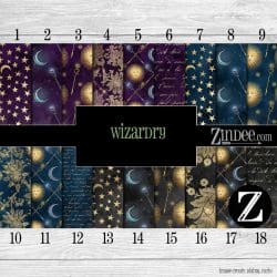 Wizardry (vinyl)