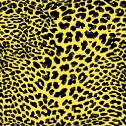 Yellow Leopard (vinyl)