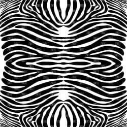 Zebra Print (vinyl)