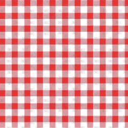 Red Gingham Classic (digital paper)