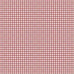 Red Gingham Vintage seamless (digital paper)