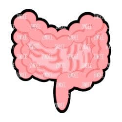 Intestines – Acrylic Badge Reel Blank (2") No Hole | Optional Sticker or UV DTF