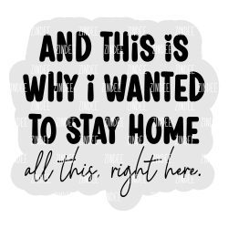 And This is Why Acrylic Blank- Sticker- UV DTF (2.5 inch)