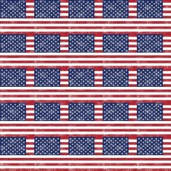 Flag American Distressed (vinyl) 12x12