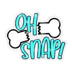 Oh Snap Acrylic Blank- Sticker- UV DTF (3 inch)